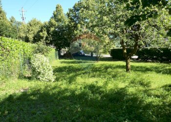 Giardino - Terreno edificabile Via Martinelli, Bisuschio - foto 5