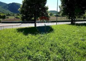 Giardino - Terreno edificabile Via Martinelli, Bisuschio - foto 12