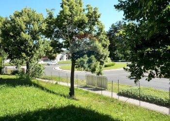 Giardino - Terreno edificabile Via Martinelli, Bisuschio - foto 15