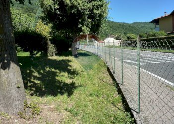 Giardino - Terreno edificabile Via Martinelli, Bisuschio - foto 19