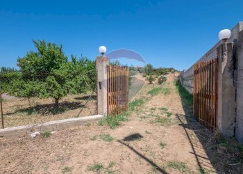 Giardino - Villa SS124, 65, Grammichele - foto 6