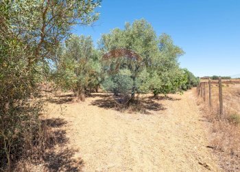 Giardino - Villa SS124, 65, Grammichele - foto 26