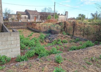Giardino - Terreno edificabile Nazionale Guardia
1, Acireale - foto 19