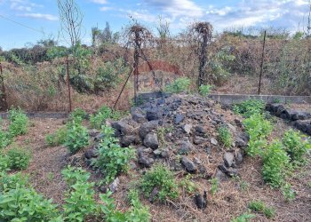 Giardino - Terreno edificabile Nazionale Guardia
1, Acireale - foto 22