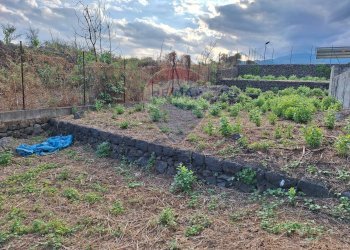 Giardino - Terreno edificabile Nazionale Guardia
1, Acireale - foto 24