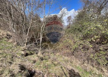 Terreno - Rustico via brugali, Albino - foto 20