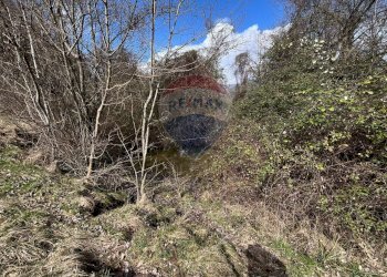 Terreno - Rustico via brugali, Albino - foto 21