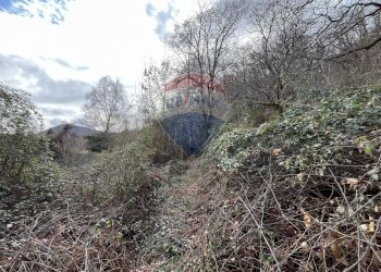 Terreno - Rustico via brugali, Albino - foto 24