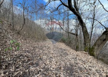 Terreno - Rustico via brugali, Albino - foto 25