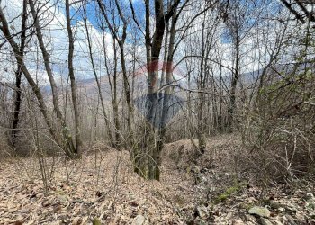 Terreno - Rustico via brugali, Albino - foto 26