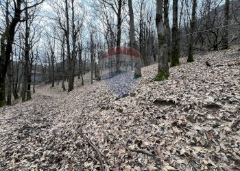 Giardino - Rustico via brugali, Albino - foto 10