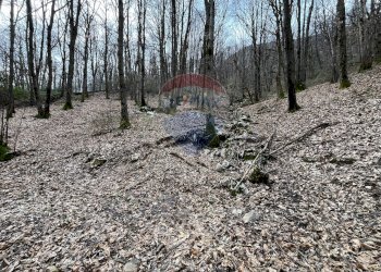 Giardino - Rustico via brugali, Albino - foto 11