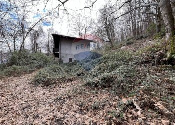 Primo immobile - Rustico via brugali, Albino - foto 8