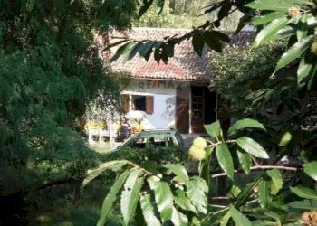 Terzo immobile - Rustico via brugali, Albino - foto 23