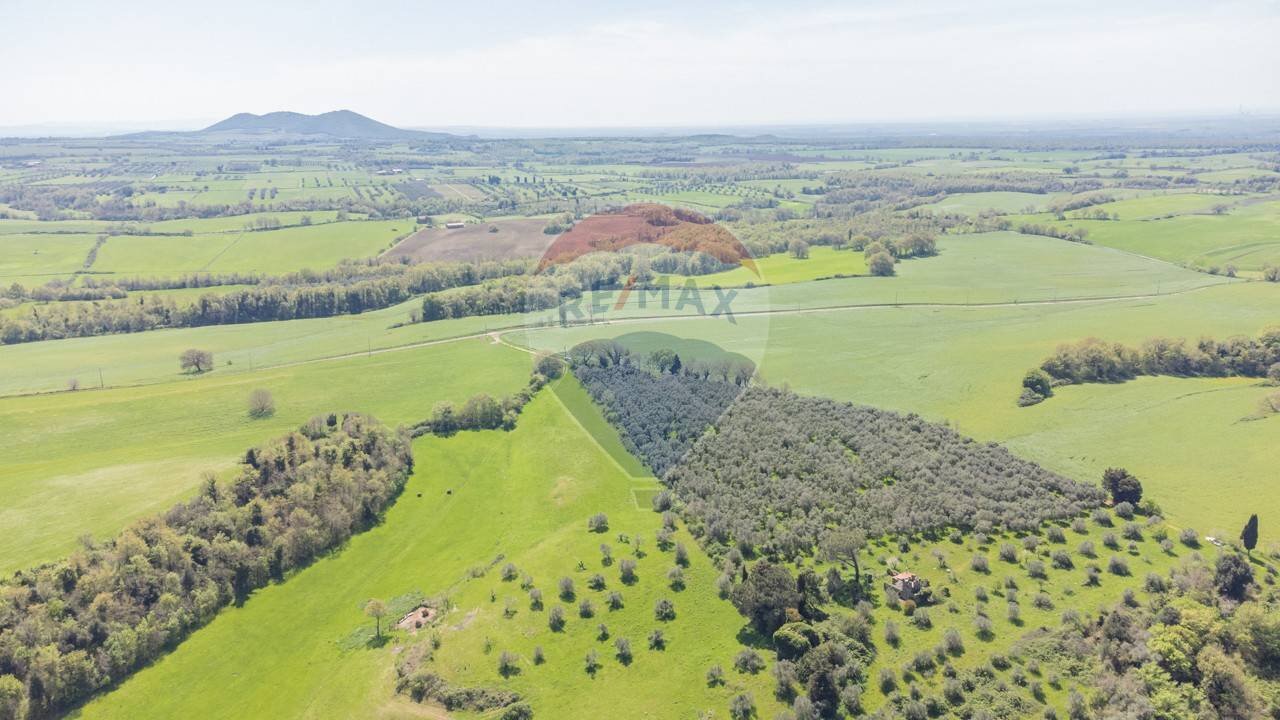 Vista delle montagne - Terreno agricolo Ischia di Castro - foto 1