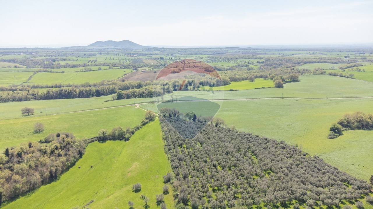 Vista delle montagne - Terreno agricolo Ischia di Castro - foto 2
