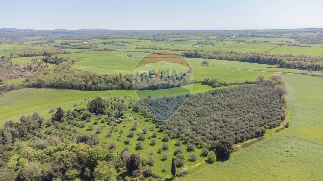 Vista delle montagne - Terreno agricolo Ischia di Castro - foto 3
