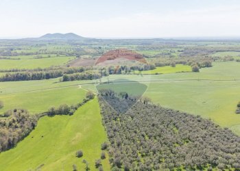 Vista delle montagne - Terreno agricolo Ischia di Castro - foto 2