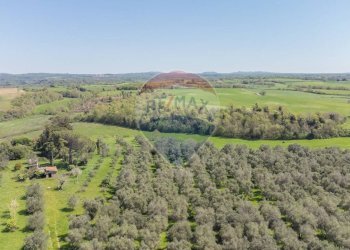 Vista delle montagne - Terreno agricolo Ischia di Castro - foto 5