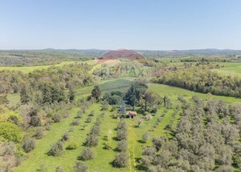 Vista delle montagne - Terreno agricolo Ischia di Castro - foto 6