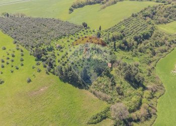 Vista delle montagne - Terreno agricolo Ischia di Castro - foto 7