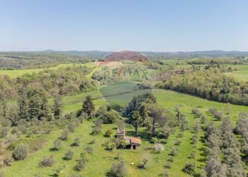 Vista delle montagne - Terreno agricolo Ischia di Castro - foto 8