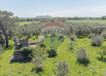 Vista delle montagne - Terreno agricolo Ischia di Castro - foto 11