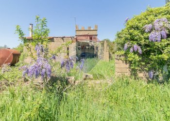 Giardino - Terreno agricolo Ischia di Castro - foto 13