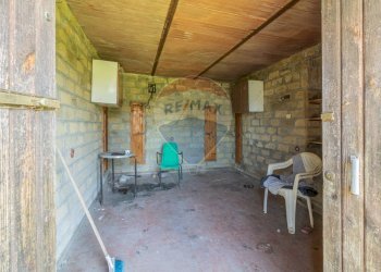 Terrazza - Terreno agricolo Ischia di Castro - foto 14