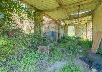 Giardino - Terreno agricolo Ischia di Castro - foto 15