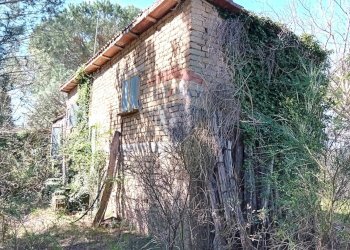 Casa all\'aperto - Terreno agricolo Ischia di Castro - foto 18