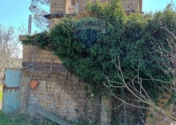 Giardino - Terreno agricolo Ischia di Castro - foto 22