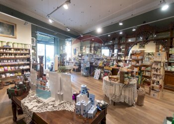 Non correlato - Shop Piazza della libertà
 
6, Salsomaggiore Terme - photo 11