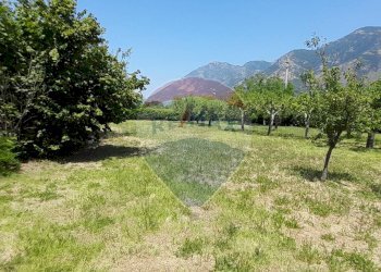 Giardino - Villa San Lorenzello - foto 46