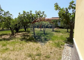 Giardino - Villa San Lorenzello - foto 49