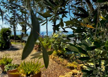 Foto 19 - Villa Sanremo - foto 19