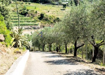 Foto 23 - Villa Sanremo - foto 23