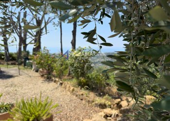 Foto 24 - Villa Sanremo - foto 24