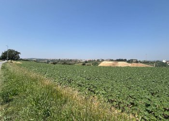 Foto 6 - Villa contrada pescolla, Porto Sant'Elpidio - foto 6