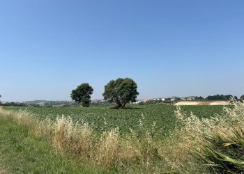 Foto 10 - Villa contrada pescolla, Porto Sant'Elpidio - foto 10