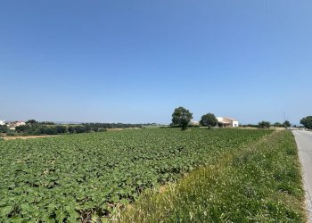 Foto 11 - Villa contrada pescolla, Porto Sant'Elpidio - foto 11