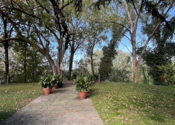 Foto 2 - Casa indipendente Mantova - foto 2