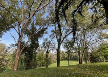 Foto 6 - Casa indipendente Mantova - foto 6