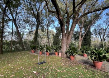 Foto 11 - Casa indipendente Mantova - foto 11