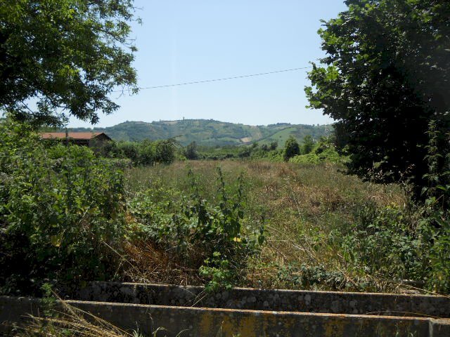 Foto 3 - Agricultural land Via sciacquatoio, Spinetoli - photo 3