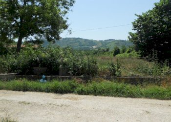 Foto 1 - Terreno agricolo Via sciacquatoio, Spinetoli - foto 1
