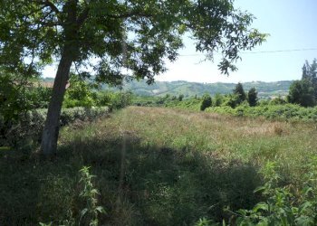 Foto 2 - Terreno agricolo Via sciacquatoio, Spinetoli - foto 2