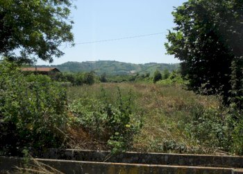 Foto 3 - Terreno agricolo Via sciacquatoio, Spinetoli - foto 3