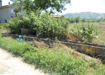 Foto 4 - Terreno agricolo Via sciacquatoio, Spinetoli - foto 4