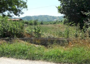 Foto 5 - Terreno agricolo Via sciacquatoio, Spinetoli - foto 5